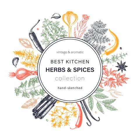 Hand-drawn herbs and spices round design. Hand-sketched food wreath in color. Vintage aromatic plants hand-drawing. Kitchen herbs and spice frame template in sketched style for menu or banners